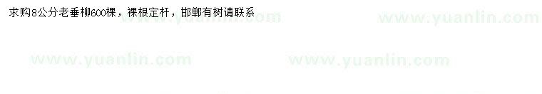 求購(gòu)8公分垂柳