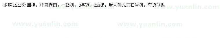 求購12公分國槐