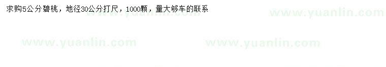 求購30量5公分碧桃