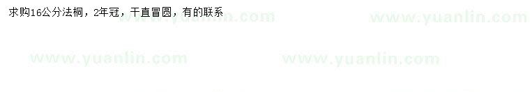 求購16公分法桐