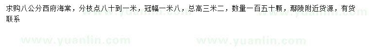 求購8公分西府海棠