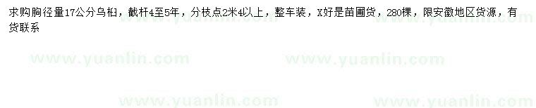 求購(gòu)胸徑17公分烏桕