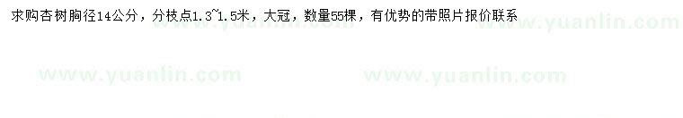 求購(gòu)胸徑14公分杏樹