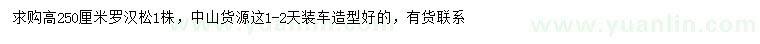 求購高250公分羅漢松