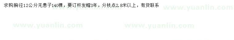 求購胸徑12公分無患子