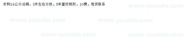 求購(gòu)16公分法桐