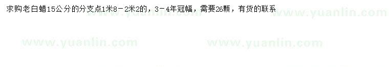 求購15公分老白蠟
