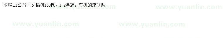 求購(gòu)11公分榆樹(shù)