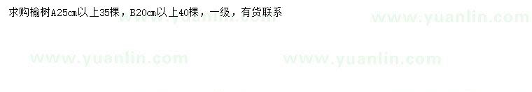 求購20公分以上榆樹