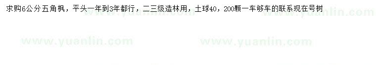 求購6公分五角楓
