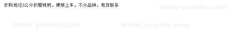 求購地徑3公分櫻桃樹
