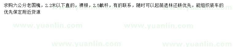 求購(gòu)6公分國(guó)槐