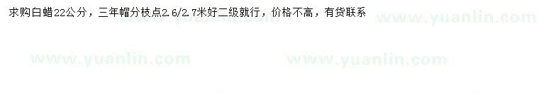 求購(gòu)22公分白蠟