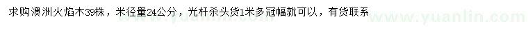 求購米徑24公分澳洲火焰木