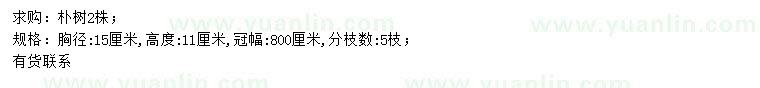 求購胸徑15公分樸樹