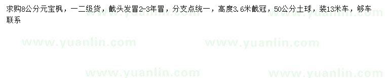 求購8公分元寶楓