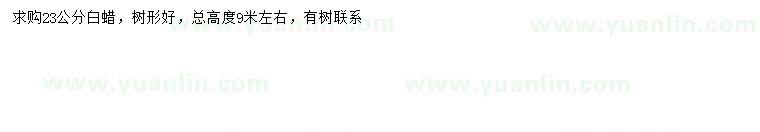 求購23公分白蠟
