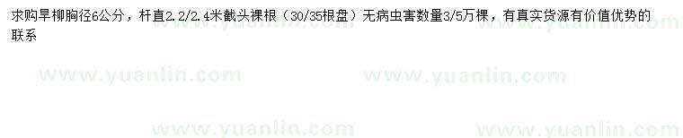 求購胸徑6公分旱柳