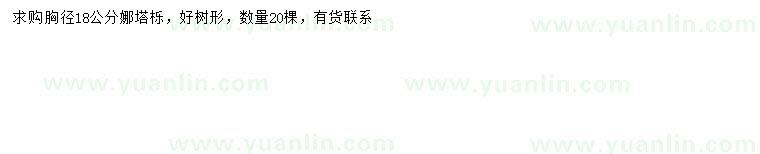 求購胸徑18公分娜塔櫟
