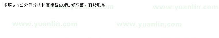 求購6-7公分長庚桂