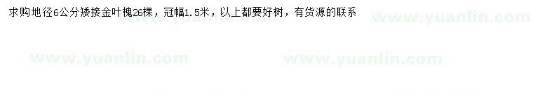 求購地徑6公分金葉槐