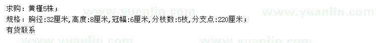 求購(gòu)胸徑32公分黃槿