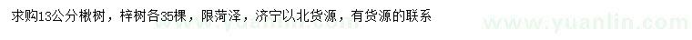 求購13公分楸樹、梓樹