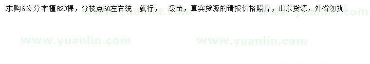 求購6公分木槿