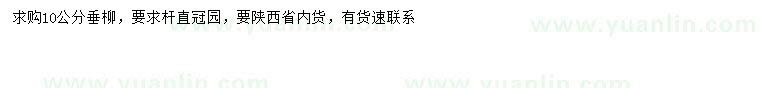 求購10公分垂柳