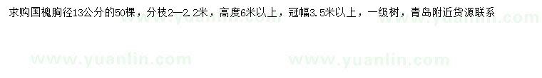 求購(gòu)胸徑13公分國(guó)槐