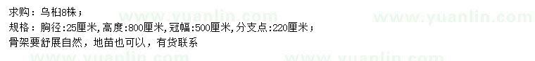 求購胸徑25公分烏桕