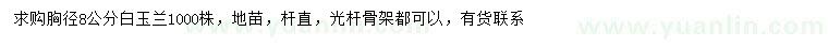 求購胸徑8公分白玉蘭