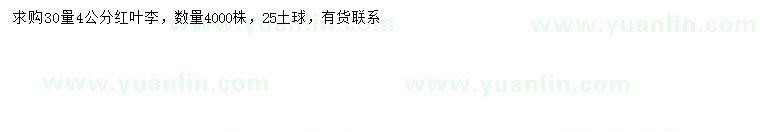 求購(gòu)30量4公分紅葉李