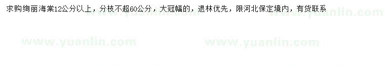 求購(gòu)12公分以上絢麗海棠
