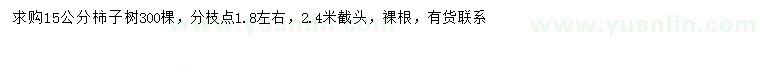 求購(gòu)15公分柿子樹(shù)