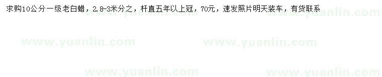 求購10公分老白蠟
