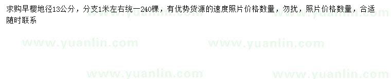 求購地徑13公分早櫻