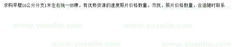 求購16公分早櫻