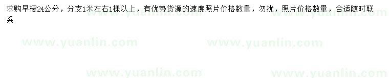 求購24公分早櫻