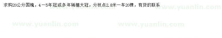 求購(gòu)20公分國(guó)槐