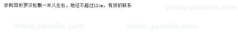 求購地徑12公分羅漢松