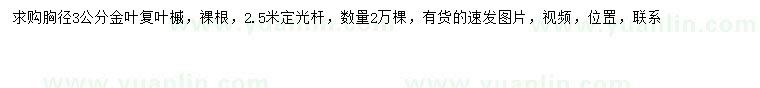 求購(gòu)胸徑3公分金葉復(fù)葉槭