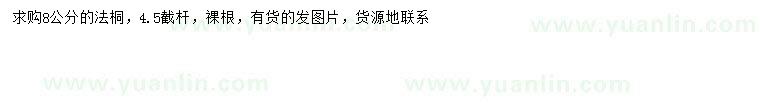 求購8公分法桐