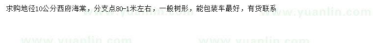 求購地徑10公分西府海棠
