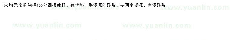 求購胸徑4公分元寶楓