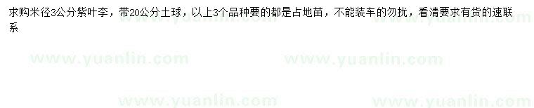 求購米徑3公分紫葉李