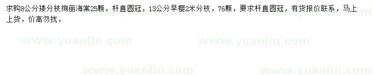 求購8公分絢麗海棠、13公分早櫻