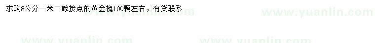 求購8公分黃金槐
