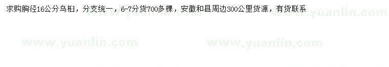 求購胸徑16公分烏桕