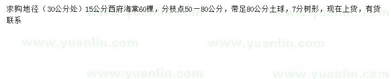 求購30公分量15公分西府海棠